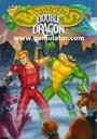 Battletoads & Double Dragon - The Ultimate Team ROM