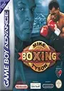 Mike Tyson's Boxing ROM