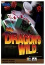 Neo Dragon's Wild ROM