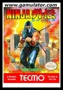 Ninja Gaiden ROM