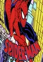 Spider-Man ROM