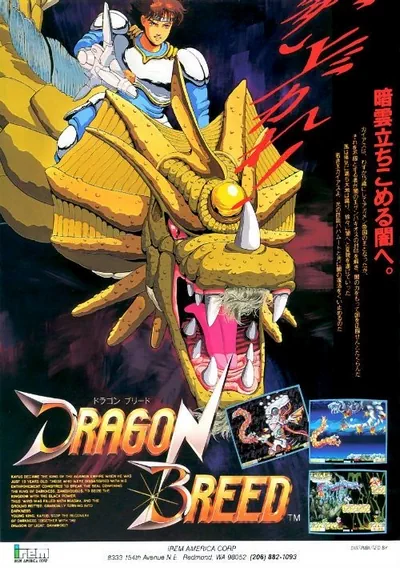 ROM Cover: Dragon Breed (M81 PCB version)