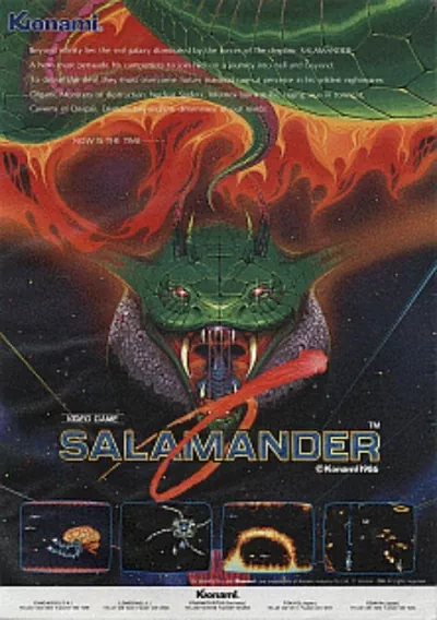 ROM Cover: Salamander (version D)