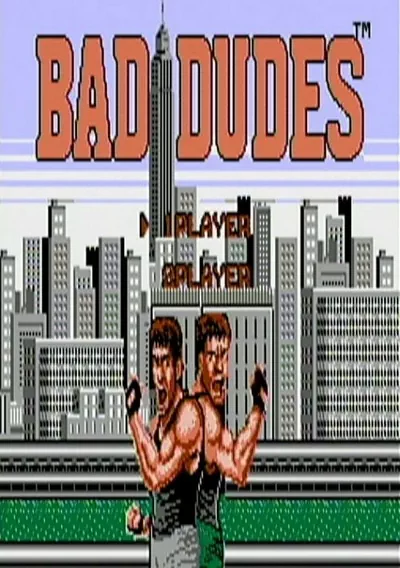 ROM Cover: Baddudes