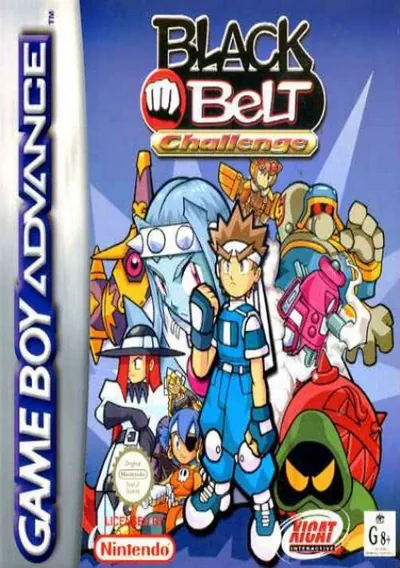 ROM Cover: Black Belt Challenge