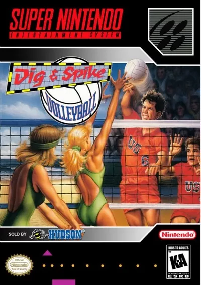 ROM Cover: Dig & Spike Volleyball