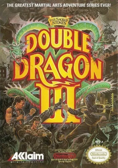 ROM Cover: Double Dragon 3 - The Sacred Stones [T-Span1.0]