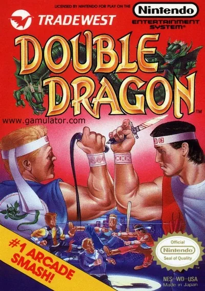 ROM Cover: Double Dragon