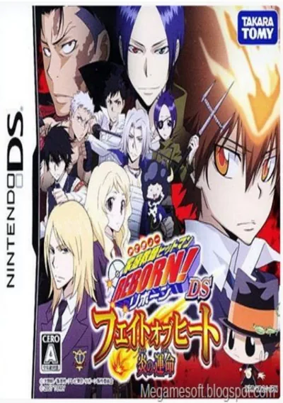 ROM Cover: Katekyou Hitman Reborn! DS - Fate Of Heat II - Unmei No Futari (JP)