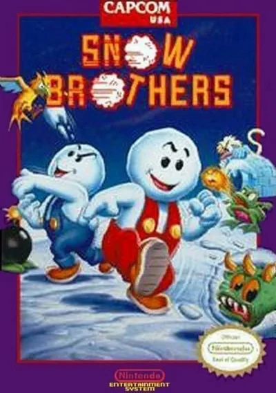 ROM Cover: Snow Bros.