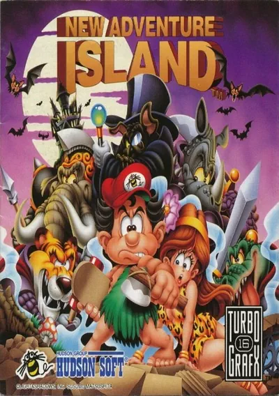 ROM Cover: New Adventure Island