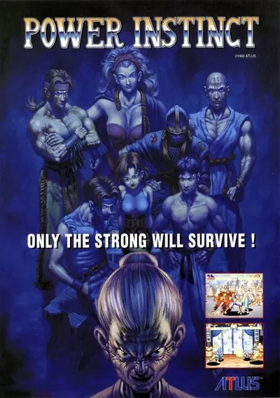 ROM Cover: Power Instinct (USA)