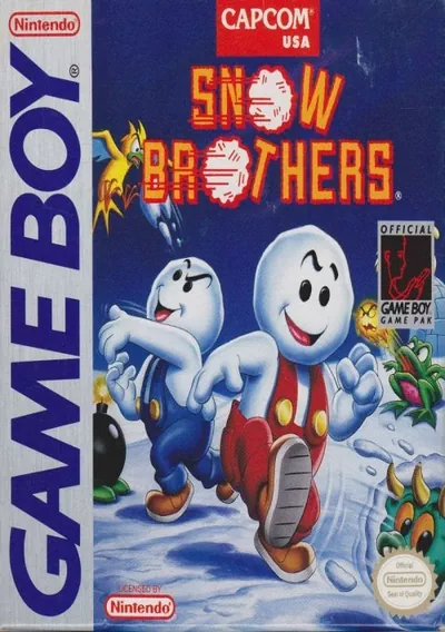 ROM Cover: Snow Bros Jr.