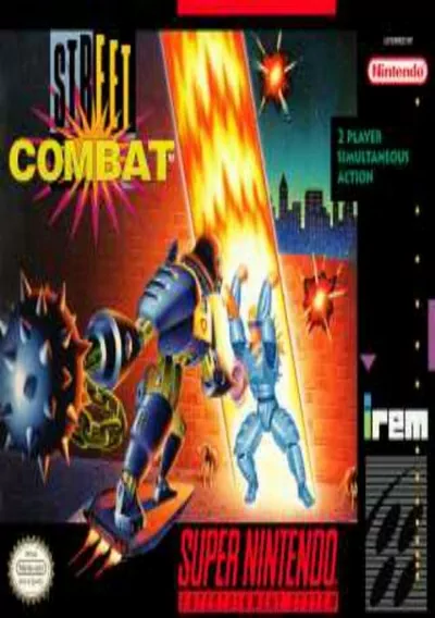 ROM Cover: Street Combat