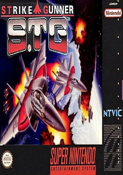 ROM Cover: Strike Gunner