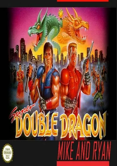 ROM Cover: Super Double Dragon (EU)