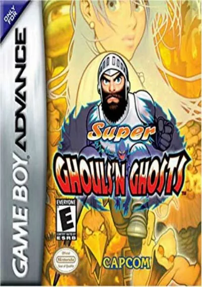 ROM Cover: Super Ghouls 'N Ghosts