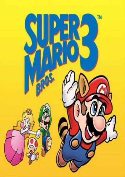 ROM Cover: Super Mario Bros 3 (PRG 0) (MR207 Hack)