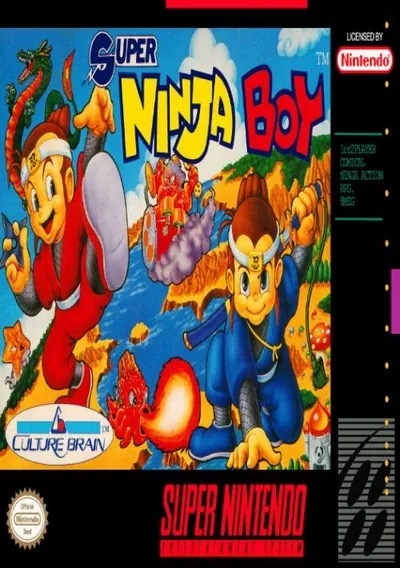 ROM Cover: Super Ninja Boy