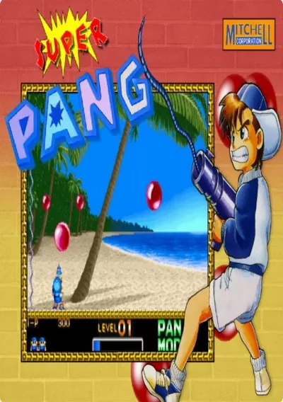 ROM Cover: Super Pang